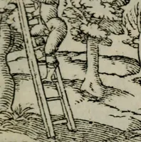 An illustration from Emblemata physico-ethica, hoc est, Naturae morum moderatricis picta praecepta : à Nicolao Taurello Montbelgardensi ... observata, & vario conscripta carmine (1602)