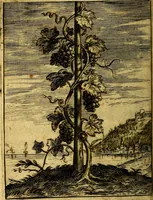 An illustration from Emblemata politica & Orationes. Ex officina (1635)