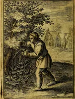 An illustration from Emblemata politica & Orationes. Ex officina (1635)