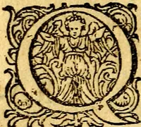 An illustration from Emblemata politica & Orationes. Ex officina (1635)