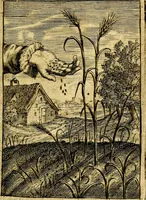 An illustration from Emblemata politica & Orationes. Ex officina (1635)