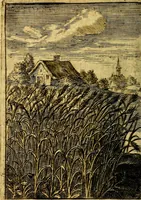 An illustration from Emblemata politica & Orationes. Ex officina (1635)