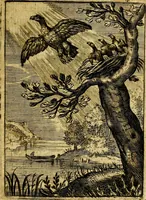 An illustration from Emblemata politica & Orationes. Ex officina (1635)