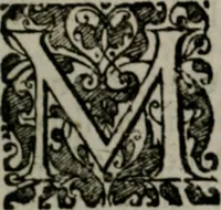 An illustration from Emblemata politica : in aula magna Curiæ Norinbergensis depicta : quæ sacra virtutum suggerunt monita prudenter administrandi fortiterque defendendi rempublicam (1617)