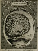 An illustration from Emblemata politica : in aula magna Curiæ Norinbergensis depicta : quæ sacra virtutum suggerunt monita prudenter administrandi fortiterque defendendi rempublicam (1617)