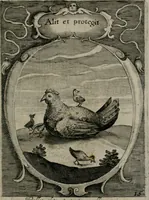Picture 18 of 35 from Emblemata politica : in aula magna Curiæ Norinbergensis depicta : quæ sacra virtutum suggerunt monita prudenter administrandi fortiterque defendendi rempublicam (1617), leaf 48