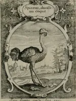 Picture 19 of 35 from Emblemata politica : in aula magna Curiæ Norinbergensis depicta : quæ sacra virtutum suggerunt monita prudenter administrandi fortiterque defendendi rempublicam (1617), leaf 50
