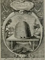 Picture 27 of 35 from Emblemata politica : in aula magna Curiæ Norinbergensis depicta : quæ sacra virtutum suggerunt monita prudenter administrandi fortiterque defendendi rempublicam (1617), leaf 66