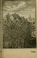 An illustration from Emblemata politica (1632)