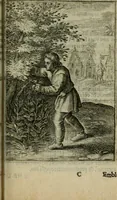 An illustration from Emblemata politica (1632)