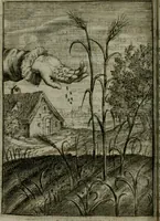 An illustration from Emblemata politica (1632)