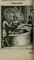 Picture 28 of 33 from Emblemata politica (1632), leaf 85