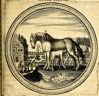 An illustration from Emblemata politica. Quibus ea, quae ad principatum spectant breviter demonstrantur singulor vero explicatio fusius proponitur. Opus novum (1618)