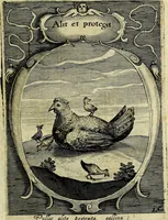 Picture 19 of 36 from Emblemata politica : in aula magna Curiae Noribergensis depicta, quae sacra viritutum suggerunt monita prudenter administrandi fortiterque defendendi rempublicam (1617), leaf 50