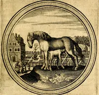 Picture 20 of 55 from Emblemata politica. Quibus ea, quae ad principatum spectant breviter demonstrantur singulor vero explicatio fusius proponitur. Opus novum (1618), leaf 86