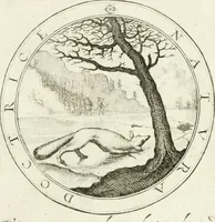 An illustration from Emblemata pro toga et sago (1690)