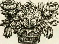 An illustration from Emblemata pro toga et sago (1690)
