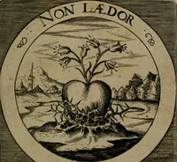 An illustration from Emblemata sacra : hoc est, decades quinque emblematum ex sacra scriptura, de dulcissimo nomine & cruce Jesu Christi, figuris aeneis incisorum ... (1624)