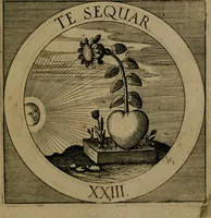 An illustration from Emblemata sacra : hoc est, decades quinque emblematum ex sacra scriptura, de dulcissimo nomine & cruce Jesu Christi, figuris aeneis incisorum ... (1624)