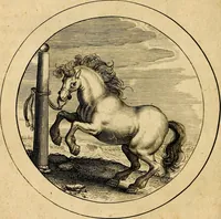 An illustration from Emblemata selectiora. Typis elegantissimis expressa, nec non sententiis, carminibus, historiis ac proverbiis, ex scriptoribus cum sacris tum profanis, antiquis & recentioribus, illustrata (1704)