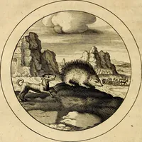 An illustration from Emblemata selectiora. Typis elegantissimis expressa, nec non sententiis, carminibus, historiis ac proverbiis, ex scriptoribus cum sacris tum profanis, antiquis & recentioribus, illustrata (1704)