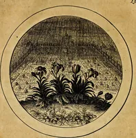 An illustration from Emblemata selectiora. Typis elegantissimis expressa, nec non sententiis, carminibus, historiis ac proverbiis, ex scriptoribus cum sacris tum profanis, antiquis & recentioribus, illustrata (1704)