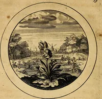 An illustration from Emblemata selectiora. Typis elegantissimis expressa, nec non sententiis, carminibus, historiis ac proverbiis, ex scriptoribus cum sacris tum profanis, antiquis & recentioribus, illustrata (1704)