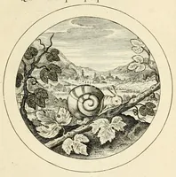 Picture 10 of 33 from Emblemata selectiora : typis elegantissimis expressa, nec non sententiis, carminibus, historiis ac proverbiis, ex scriptoribus cum sacris tum profanis, antiquis & recentioribus, illustrata .. (1704), leaf 103
