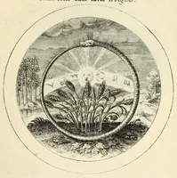 An illustration from Emblemata selectiora : typis elegantissimis expressa, nec non sententiis, carminibus, historiis ac proverbiis, ex scriptoribus cum sacris tum profanis, antiquis & recentioribus, illustrata .. (1704)