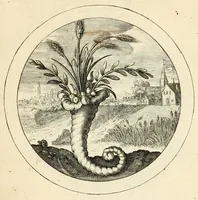 An illustration from Emblemata selectiora : typis elegantissimis expressa, nec non sententiis, carminibus, historiis ac proverbiis, ex scriptoribus cum sacris tum profanis, antiquis & recentioribus, illustrata .. (1704)