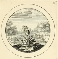 Picture 17 of 33 from Emblemata selectiora : typis elegantissimis expressa, nec non sententiis, carminibus, historiis ac proverbiis, ex scriptoribus cum sacris tum profanis, antiquis & recentioribus, illustrata .. (1704), leaf 121