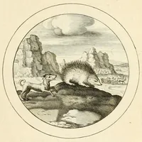 An illustration from Emblemata selectiora : typis elegantissimis expressa, nec non sententiis, carminibus, historiis ac proverbiis, ex scriptoribus cum sacris tum profanis, antiquis & recentioribus, illustrata .. (1704)
