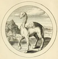 Picture 7 of 33 from Emblemata selectiora : typis elegantissimis expressa, nec non sententiis, carminibus, historiis ac proverbiis, ex scriptoribus cum sacris tum profanis, antiquis & recentioribus, illustrata .. (1704), leaf 97