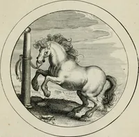 An illustration from Emblemata selectiora : typis elegantissimis expressa, nec non sententiis, carminibus, historiis ac proverbiis, ex scriptoribus cum sacris tum profanis, antiquis & recentioribus, illustrata (1704)
