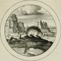 Picture 38 of 41 from Emblemata selectiora : typis elegantissimis expressa, nec non sententiis, carminibus, historiis ac proverbiis, ex scriptoribus cum sacris tum profanis, antiquis & recentioribus, illustrata (1704), leaf 144
