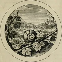 Picture 13 of 41 from Emblemata selectiora : typis elegantissimis expressa, nec non sententiis, carminibus, historiis ac proverbiis, ex scriptoribus cum sacris tum profanis, antiquis & recentioribus, illustrata (1704), leaf 44