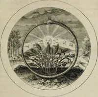 Picture 15 of 41 from Emblemata selectiora : typis elegantissimis expressa, nec non sententiis, carminibus, historiis ac proverbiis, ex scriptoribus cum sacris tum profanis, antiquis & recentioribus, illustrata (1704), leaf 52