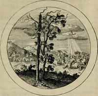 An illustration from Emblemata selectiora : typis elegantissimis expressa, nec non sententiis, carminibus, historiis ac proverbiis, ex scriptoribus cum sacris tum profanis, antiquis & recentioribus, illustrata (1704)