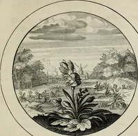 Picture 22 of 41 from Emblemata selectiora : typis elegantissimis expressa, nec non sententiis, carminibus, historiis ac proverbiis, ex scriptoribus cum sacris tum profanis, antiquis & recentioribus, illustrata (1704), leaf 80
