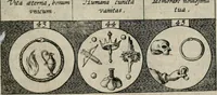 An illustration from Emblemata, sive, Symbola a principibus, viris eeclesiasticis [sic] ac militaribus aliisque vsurpanda : Deuises ou emblemes pour princes, gens d'Eglise, gens de guerre, & aultres (1624)
