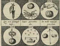 Picture 26 of 49 from Emblemata, sive, Symbola a principibus, viris eeclesiasticis [sic] ac militaribus aliisque vsurpanda : Deuises ou emblemes pour princes, gens d'Eglise, gens de guerre, & aultres (1624), leaf 35