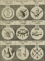 An illustration from Emblemata, sive, Symbola a principibus, viris eeclesiasticis [sic] ac militaribus aliisque vsurpanda : Deuises ou emblemes pour princes, gens d'Eglise, gens de guerre, & aultres (1624)