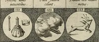 Picture 29 of 49 from Emblemata, sive, Symbola a principibus, viris eeclesiasticis [sic] ac militaribus aliisque vsurpanda : Deuises ou emblemes pour princes, gens d'Eglise, gens de guerre, & aultres (1624), leaf 39
