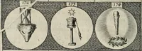Picture 39 of 49 from Emblemata, sive, Symbola a principibus, viris eeclesiasticis [sic] ac militaribus aliisque vsurpanda : Deuises ou emblemes pour princes, gens d'Eglise, gens de guerre, & aultres (1624), leaf 51