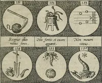 Picture 42 of 49 from Emblemata, sive, Symbola a principibus, viris eeclesiasticis [sic] ac militaribus aliisque vsurpanda : Deuises ou emblemes pour princes, gens d'Eglise, gens de guerre, & aultres (1624), leaf 52