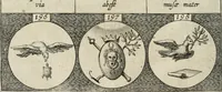 Picture 46 of 49 from Emblemata, sive, Symbola a principibus, viris eeclesiasticis [sic] ac militaribus aliisque vsurpanda : Deuises ou emblemes pour princes, gens d'Eglise, gens de guerre, & aultres (1624), leaf 55