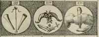 An illustration from Emblemata, sive, Symbola a principibus, viris eeclesiasticis [sic] ac militaribus aliisque vsurpanda : Deuises ou emblemes pour princes, gens d'Eglise, gens de guerre, & aultres (1624)