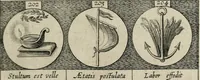 Picture 48 of 49 from Emblemata, sive, Symbola a principibus, viris eeclesiasticis [sic] ac militaribus aliisque vsurpanda : Deuises ou emblemes pour princes, gens d'Eglise, gens de guerre, & aultres (1624), leaf 56