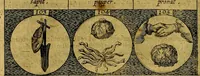 Picture 26 of 51 from Emblemata sive symbola a principibus, viris eeclesiasticis [sic] ac militaribus aliisque vsurpanda. Deuises ou emblemes pour princes, gens d'Eglise, gens de guerre, & aultres (1624), leaf 33