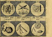 An illustration from Emblemata sive symbola a principibus, viris eeclesiasticis [sic] ac militaribus aliisque vsurpanda. Deuises ou emblemes pour princes, gens d'Eglise, gens de guerre, & aultres (1624)